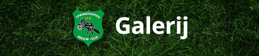 Galerij