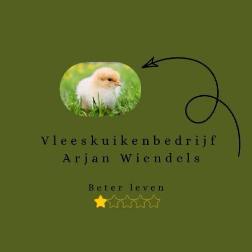 arjan wiendels